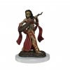 WizKids - Pathfinder Painted Premium: Female Human Bard