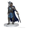 wizkids wiz96096 dungeon dragons icons of the realms set 20 the wild beyond the witchlight starter set 1[1]