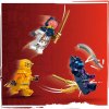 LEGO® Dračí mládě Riyu 71810