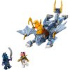 LEGO® Dračí mládě Riyu 71810