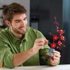 LEGO® Botanicals Meruňka japonská 10369