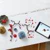 LEGO® Botanicals Meruňka japonská 10369