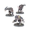 99120206043 RatOgors1