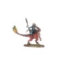 Age of Sigmar: Seraphon: Aggradon Lancers