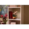 10343 Lifestyle Envr 03