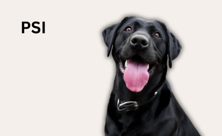 Psi