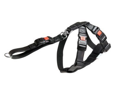 kf 1031149 20211109051237 sN5KXT