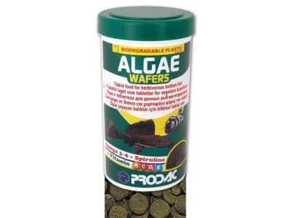Krmivo pro ryby Prodac Algae Wafers