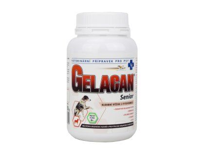Gelacan Senior