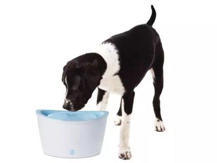 Fontána DOGIT plast velká 6l