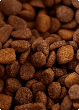 Granule