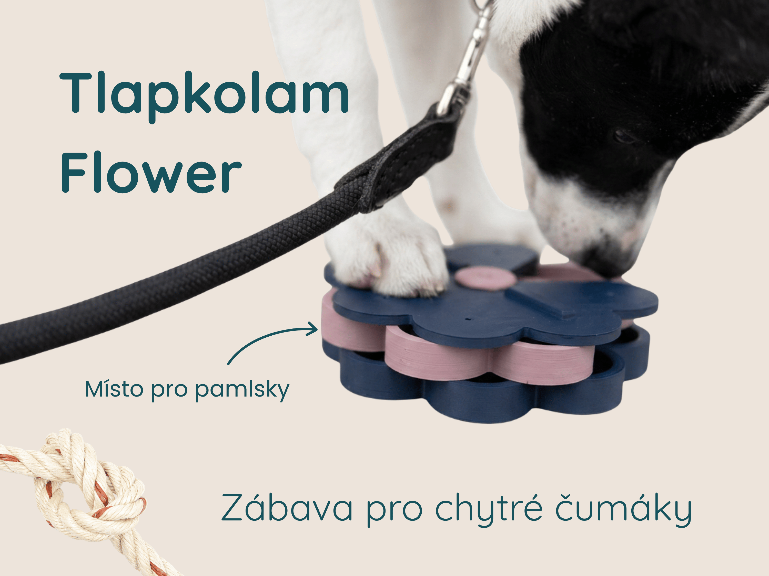 Tlapkolam Flower