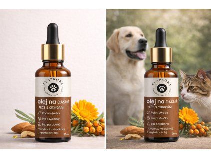 ChatGPT Image 20. 3. 2026 08 24 31