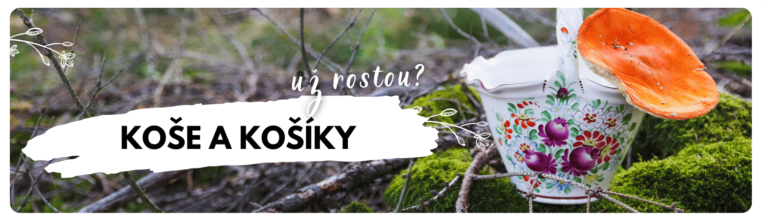 Koše a košíky