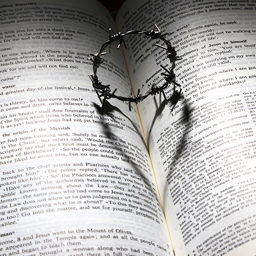 Miluju a proto nenávidím...