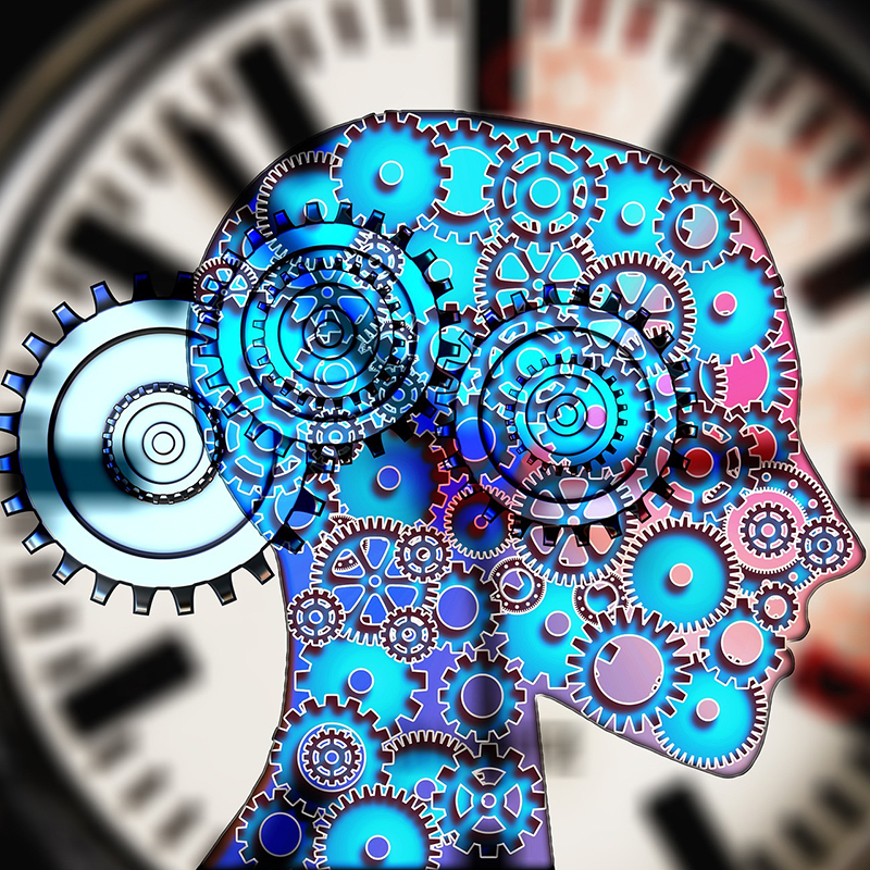 To správný tempo...