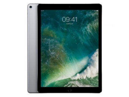 iPad Pro 12,9 256 GB Cellular