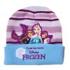 Frozen zimní čepice modrá FRO23-2152