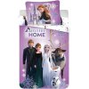 Frozen tenčí povlečení EXK350311