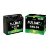 Baterie 12V, SLA12-20, 20Ah, 180A, bezúdržbová MF AGM, 182x77x168 FULBAT (aktivovaná ve výrobě)