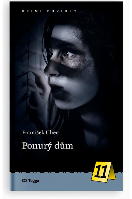 Ponurý dům