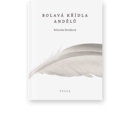 939 bolava kridla andelu