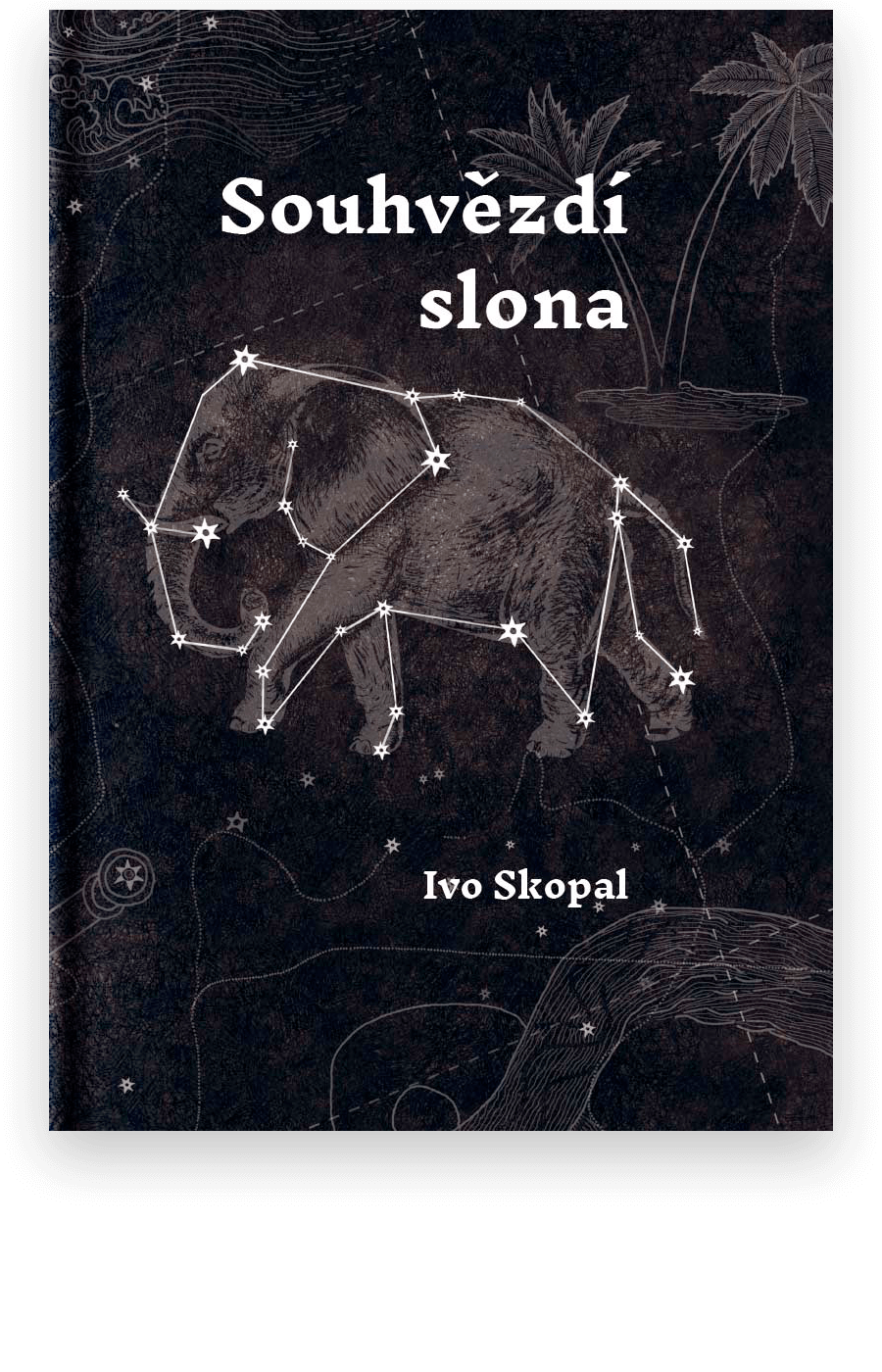 Souhvězdí slona - Ivo Skopal