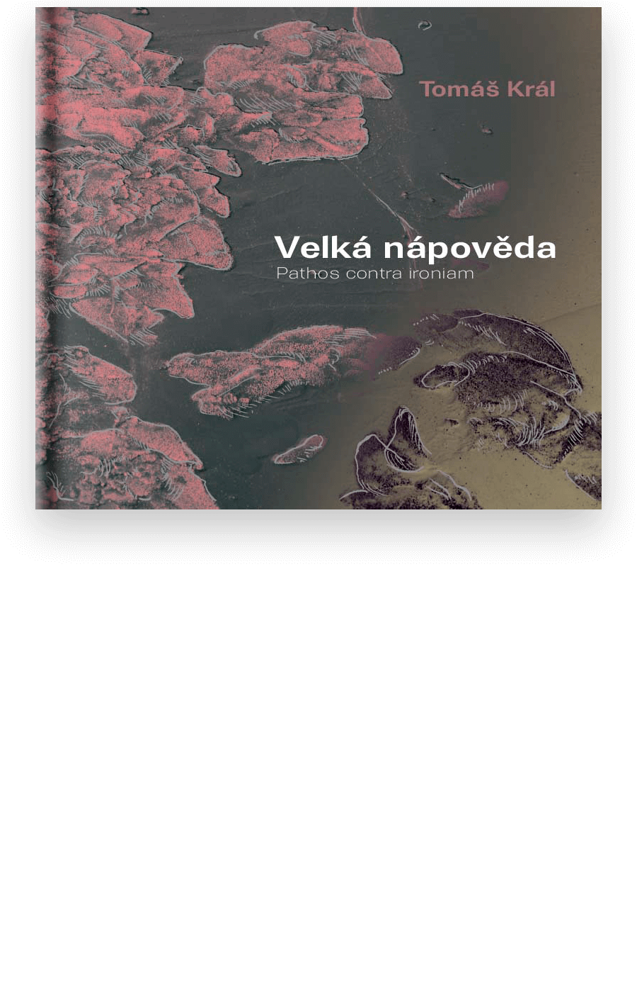 Velká nápověda | Pathos contra ironiam - Tomáš Král