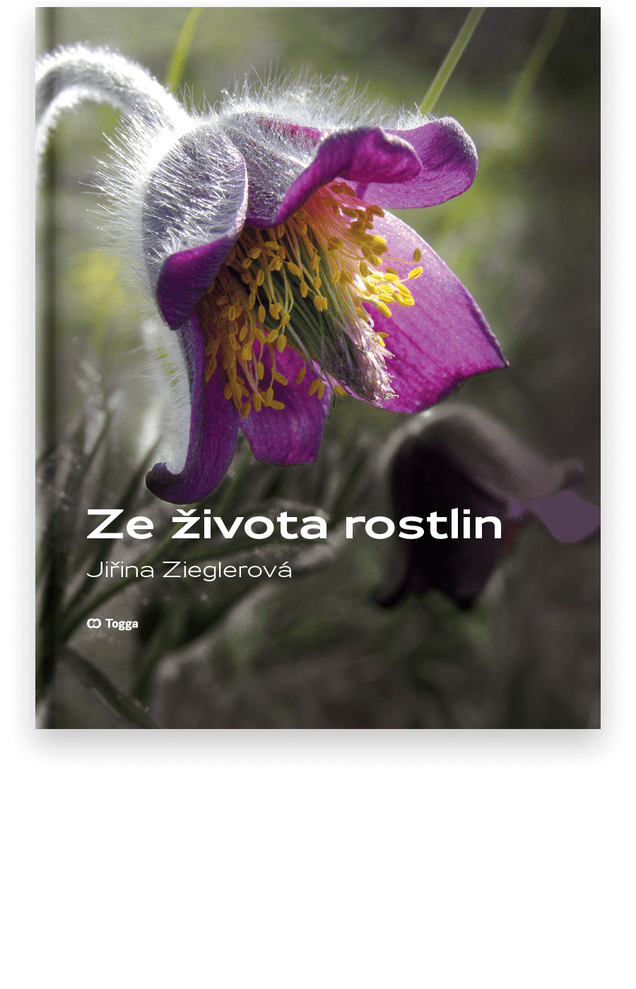 Ze života rostlin - Jiřina Zieglerová