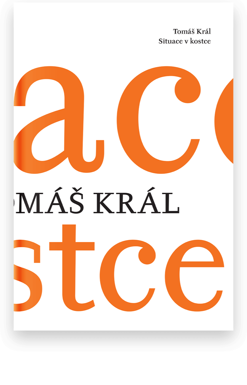 Situace v kostce - Tomáš Král