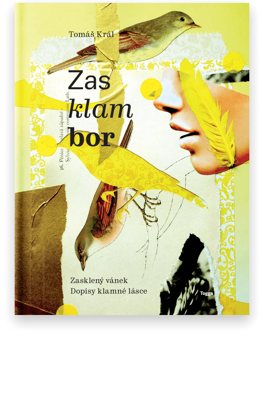 Zasklambor - Tomáš Král