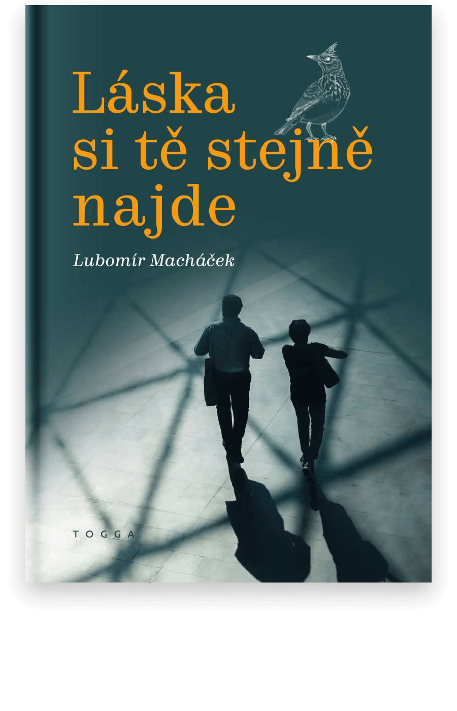 Láska si tě stejně najde | Lubomír Macháček