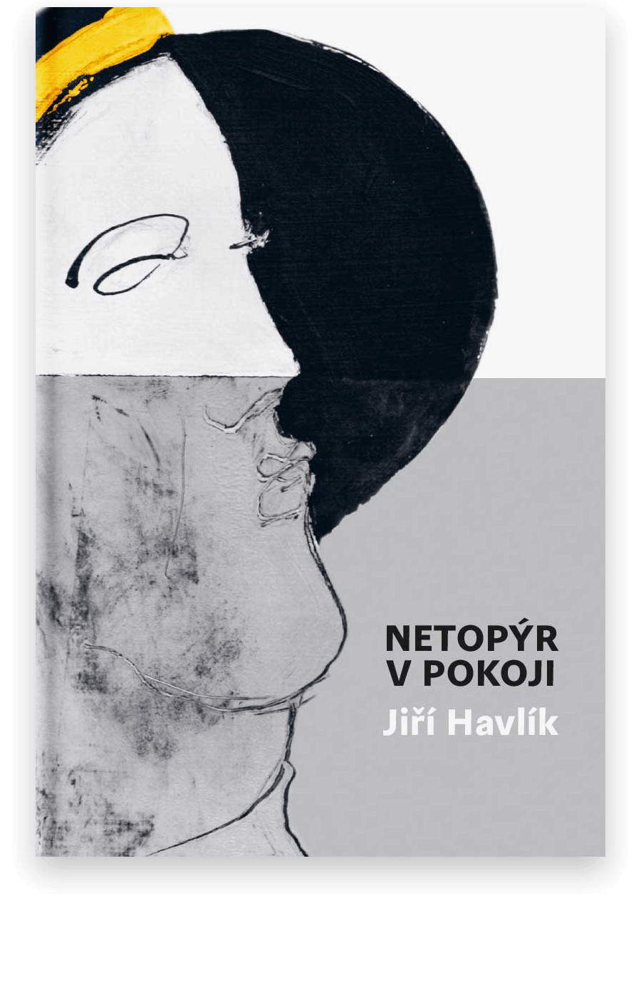 Netopýr v pokoji | Jiří Havlík