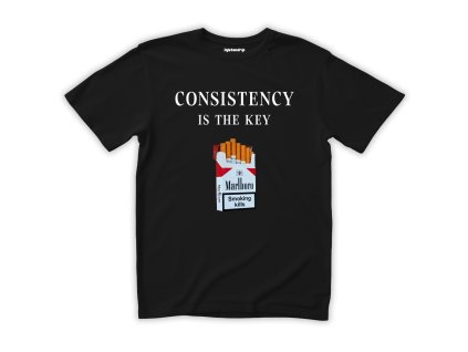 consistency is the key cerna 2
