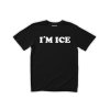 im ice 2