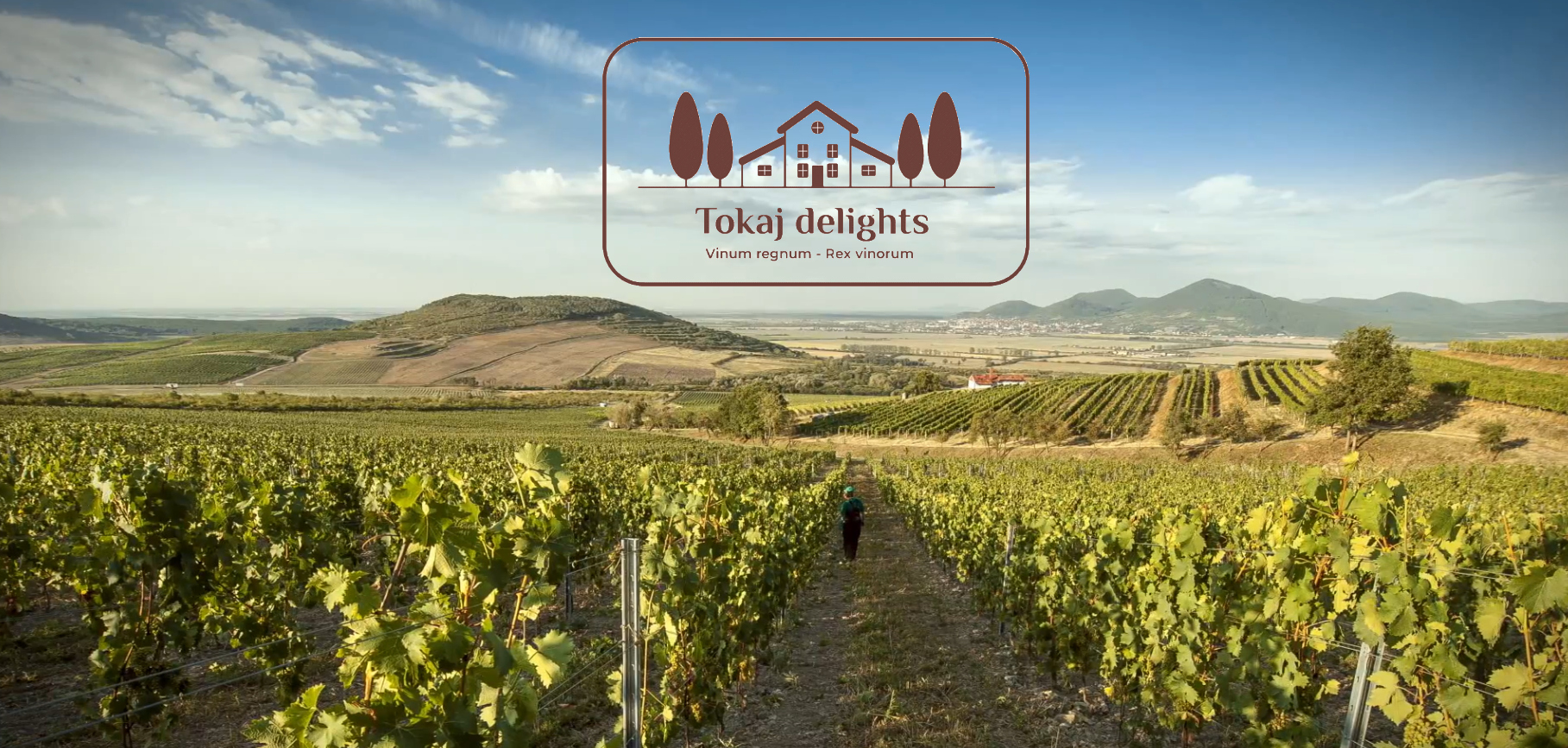 Čarovný svet Tokaja