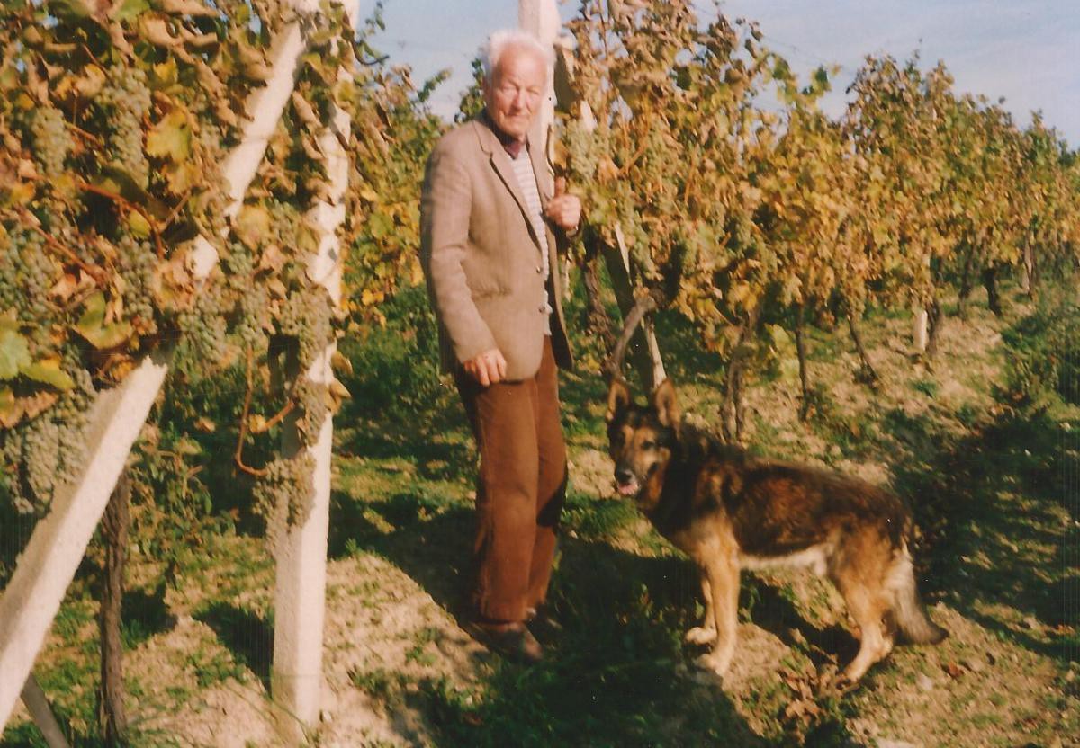Archívna fotografia Jozefa Hanka so psom vo vinohrade