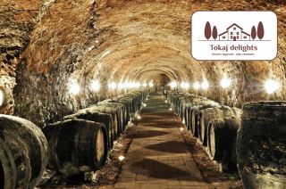 🚀 Embark on a Journey from Grape to Glass: The Fascinating Path of Tokaj Wine Have you ever wondered what makes Tokaj wine...