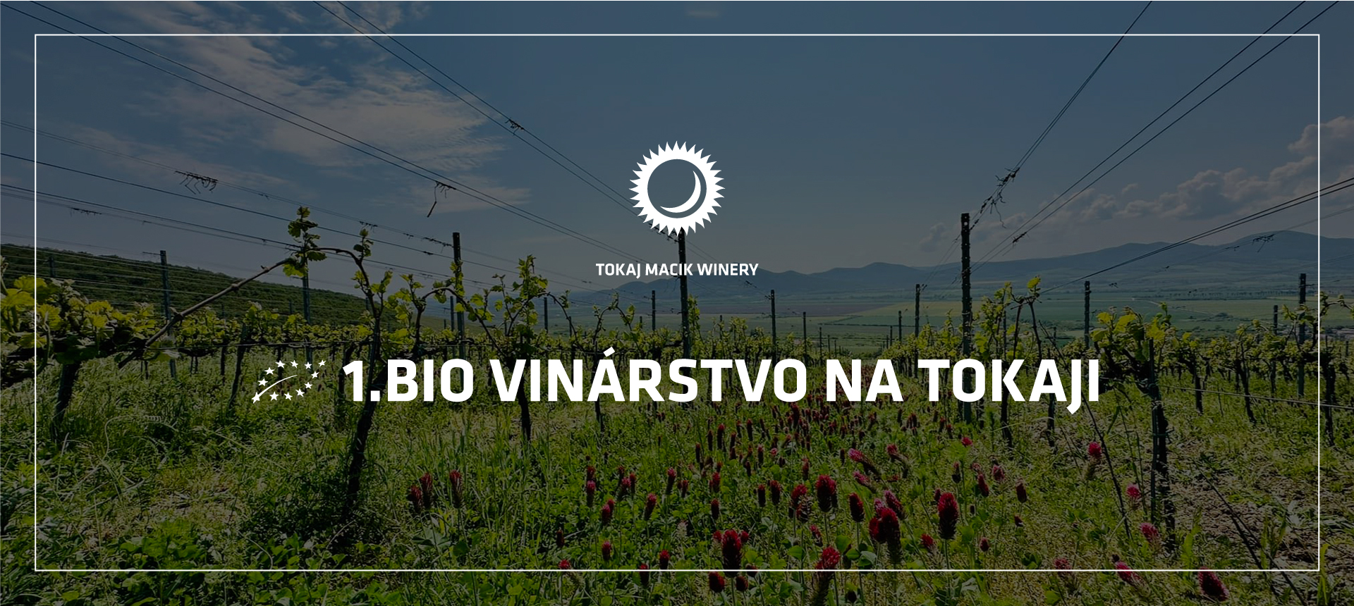 Carosel-TMW-Bio-mobil