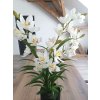 Umělá květina Orchidea v květináči 85 cm, bílá