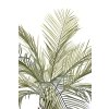 Umělá květina Palma v květináči 180 cm