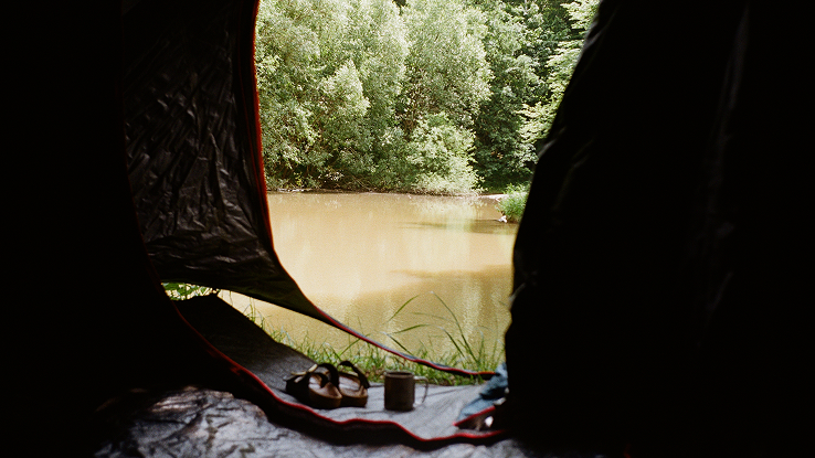 One - Night Wilderness