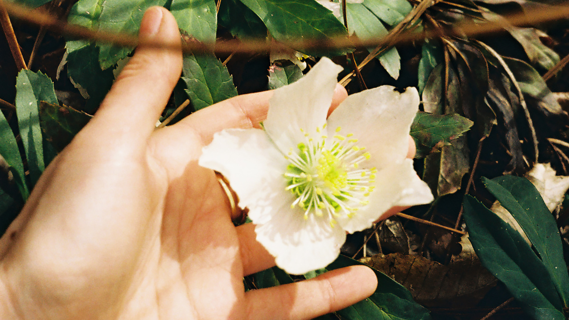 Kytica: spring ‘24, vol.1