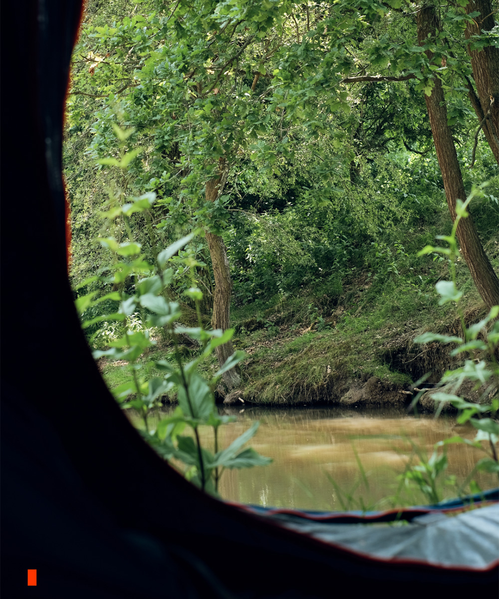 One - Night Wilderness