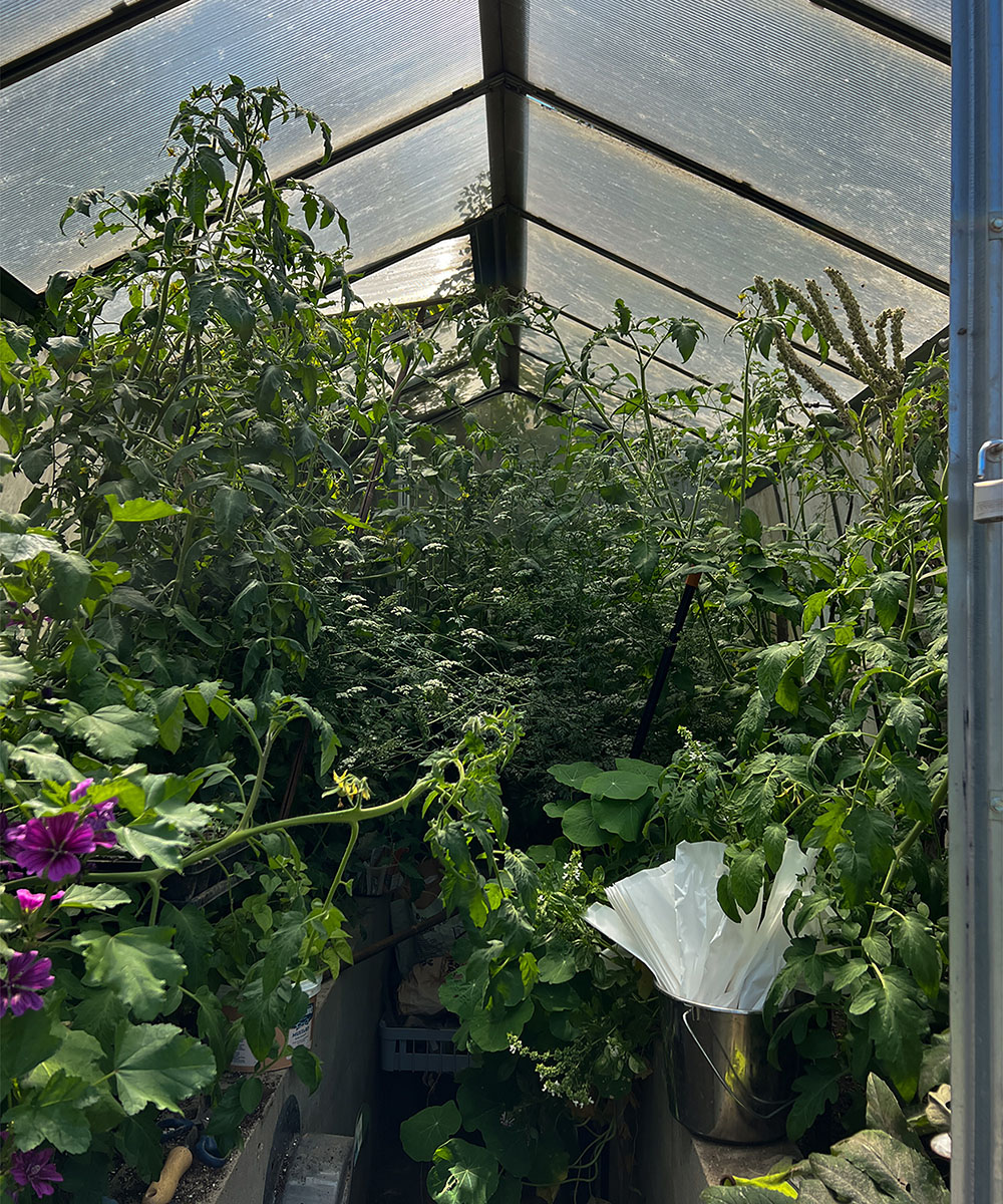 Japonské mikrosezóny