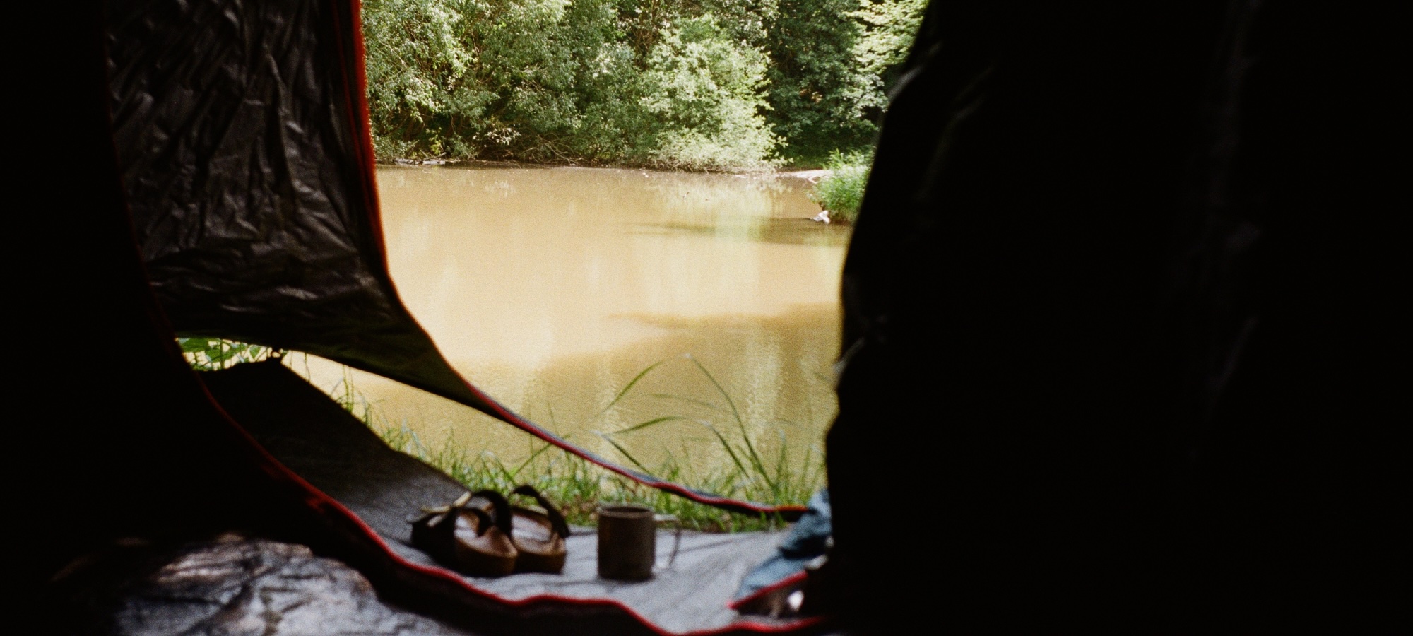 One-Night Wilderness