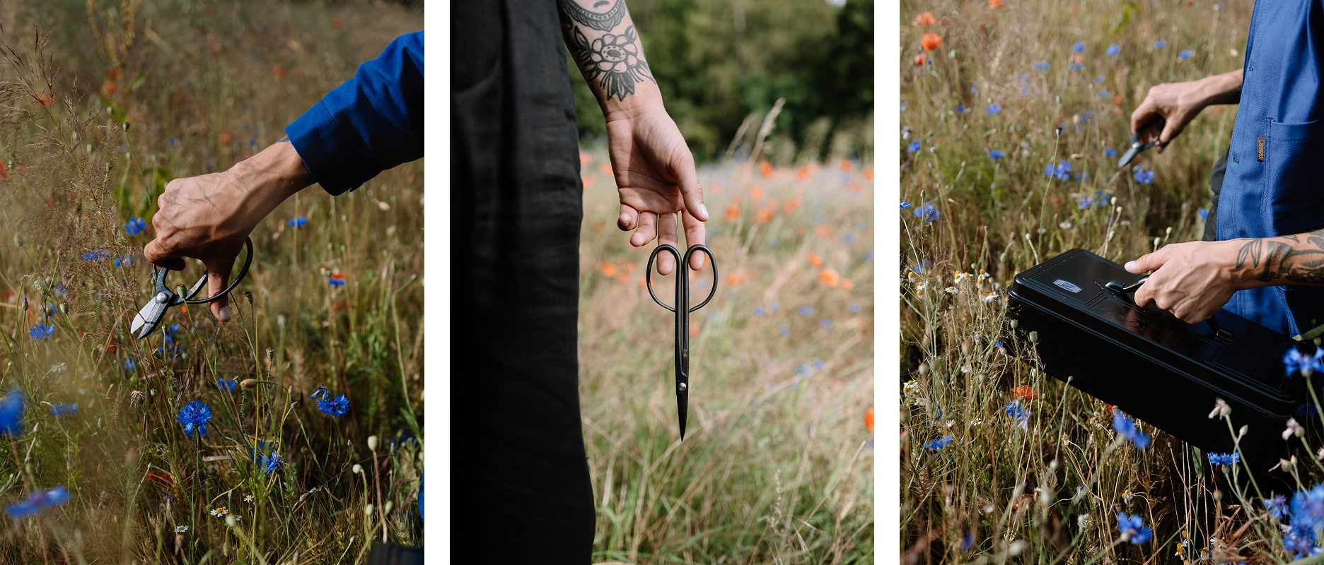 TT-BLOG-Cutting-through-Time