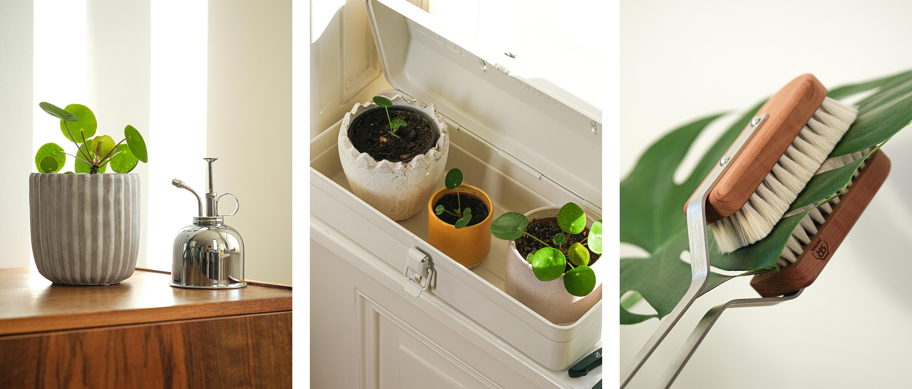 TT-BLOG-Indoor-Zen