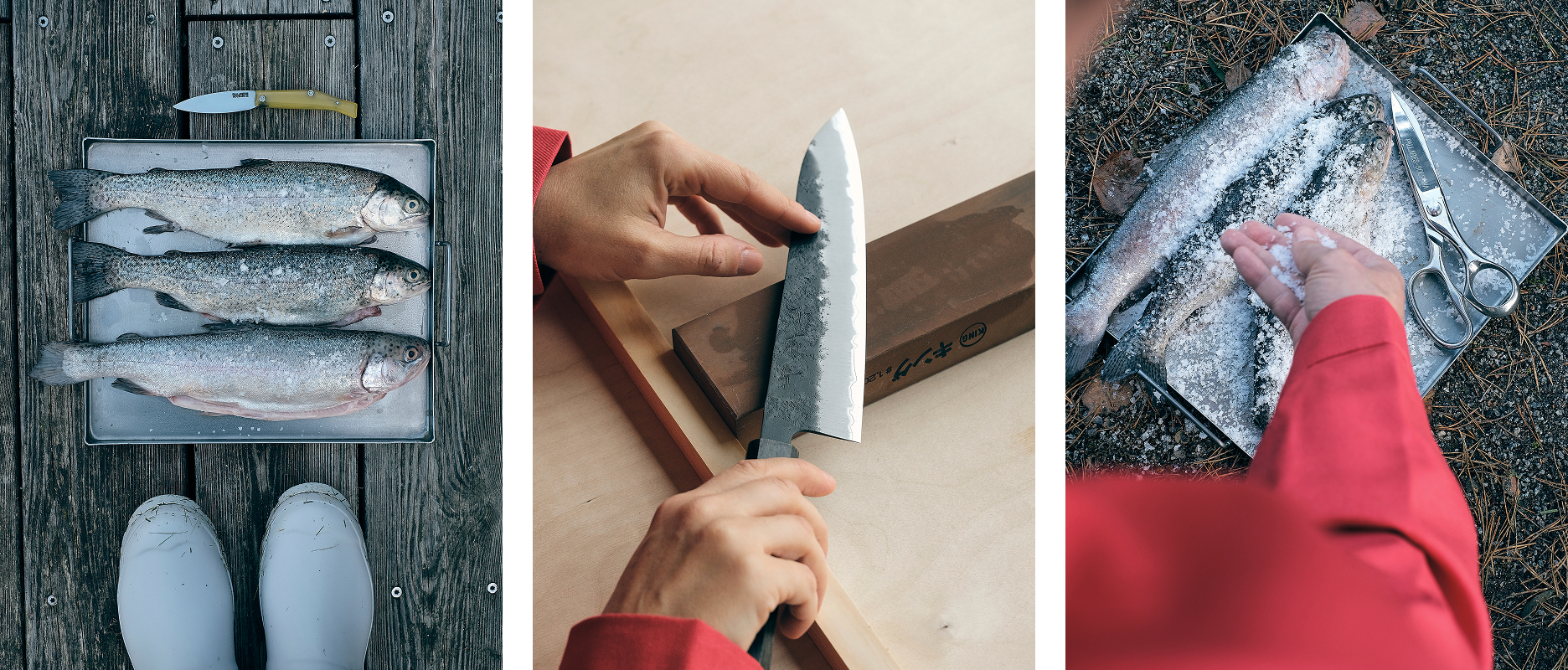 TT-BLOG-Time-for-Sharp-Precision