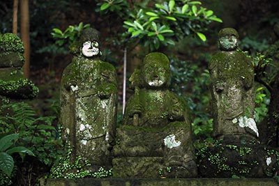 V lese na tajuplném poloostrově Kunisaki